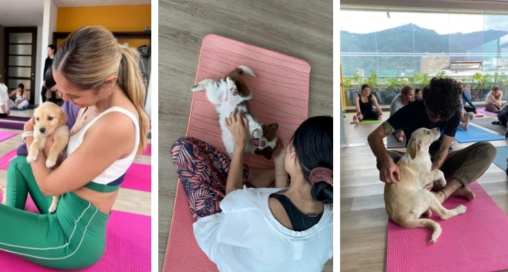 20% de descuento en todas las clases de Puppy Yoga