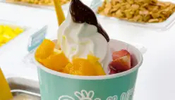 Aprovecha un rico helado de yogurt con Goyurt. Conoce mas en https://www.goyurt.com.co/