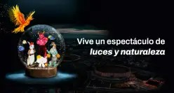 Aplica para asistencia de lunes a miércoles. No aplica para días festivos. Prográmate y no te pierdas la oportunidad de vivir una Navidad como nunca antes. Conoce más en https://www.tuboleta.com/es/eventos/festival-brilla-4-elementos